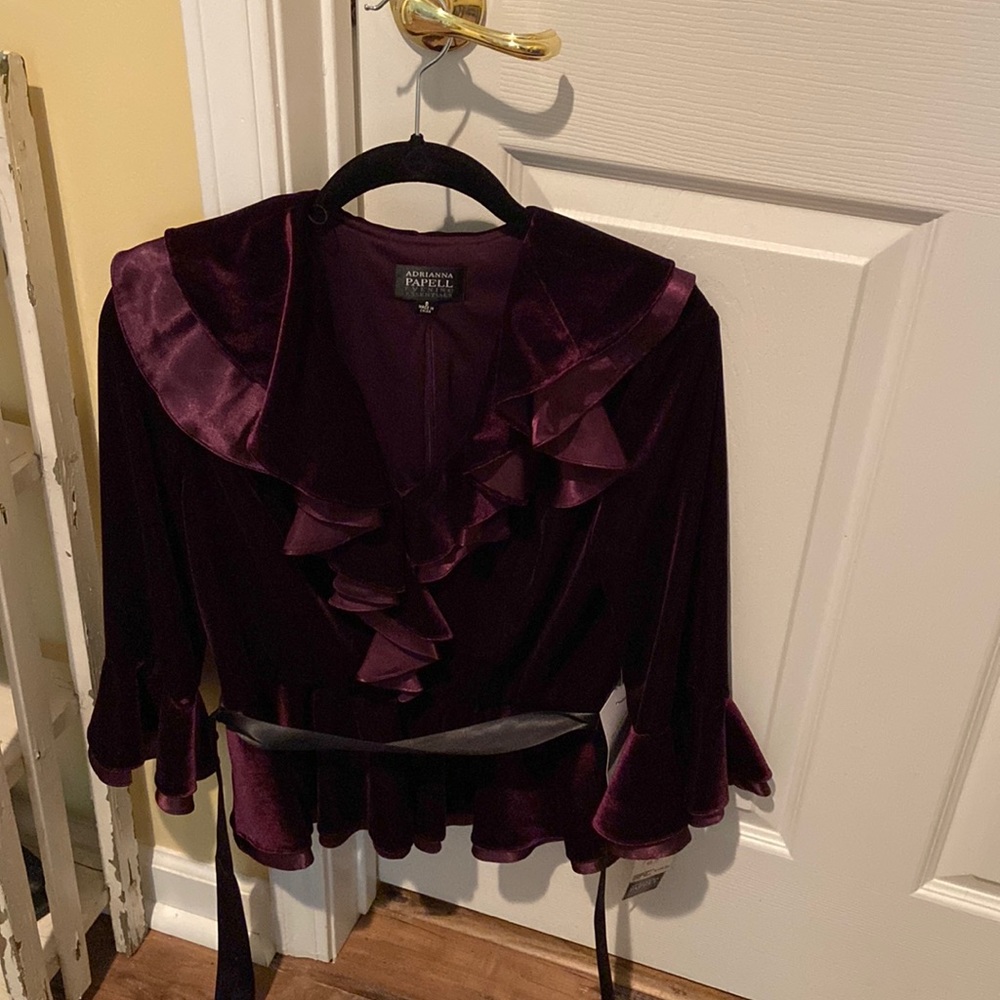 NWT gorgeous wine/burgundy velvet & satin top